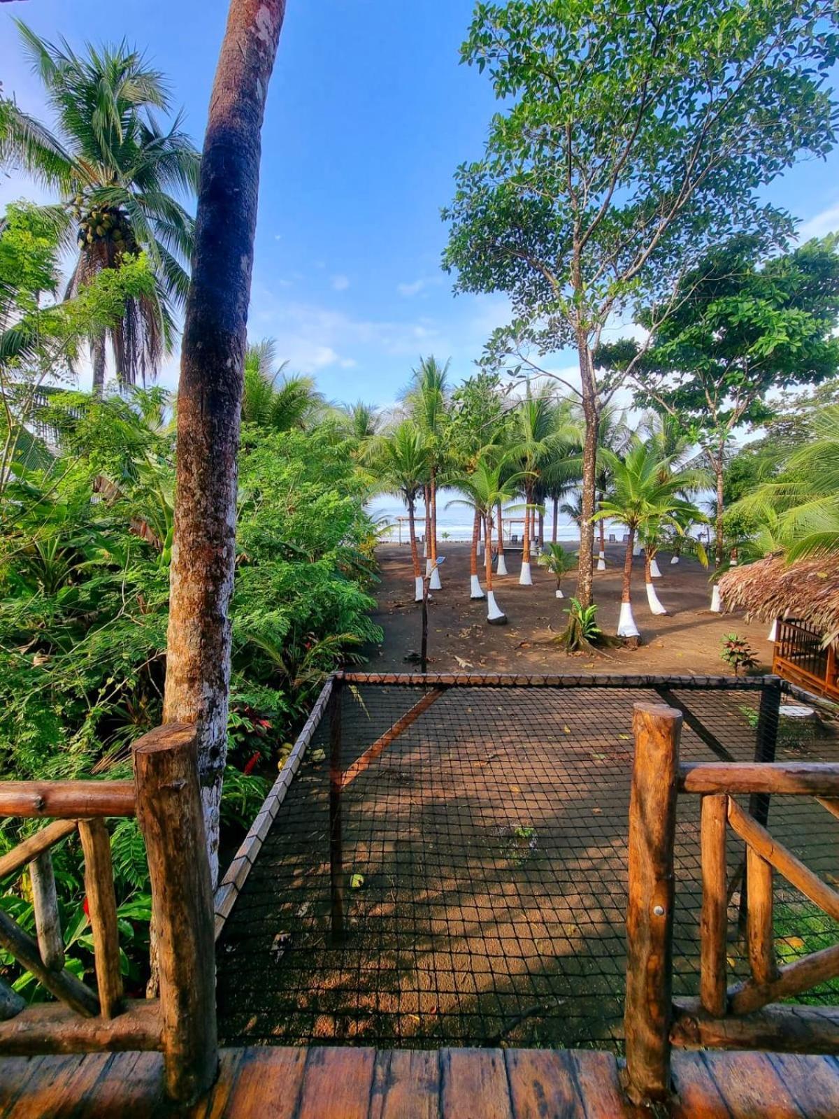 Tortuga Bay Eco Hotel El Valle  Zimmer foto